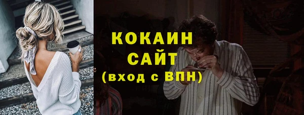 ГАЛЛЮЦИНОГЕННЫЕ ГРИБЫ Горняк