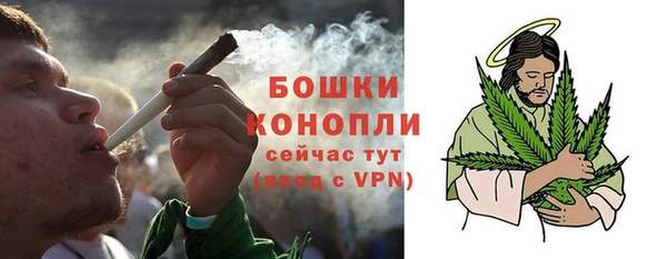 ГАЛЛЮЦИНОГЕННЫЕ ГРИБЫ Горняк