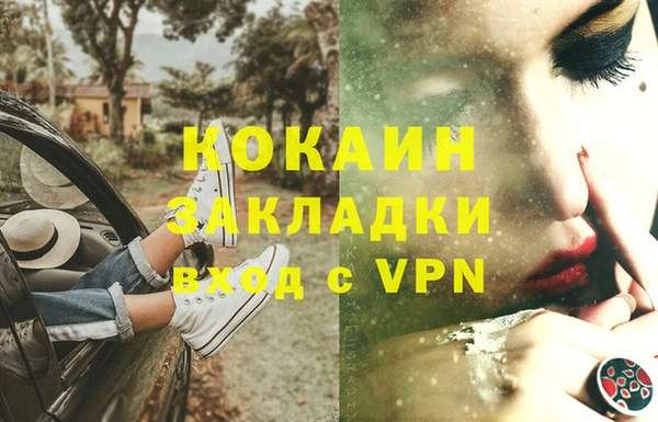 ПСИЛОЦИБИНОВЫЕ ГРИБЫ Горно-Алтайск