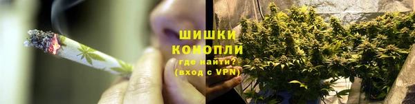ПСИЛОЦИБИНОВЫЕ ГРИБЫ Горно-Алтайск