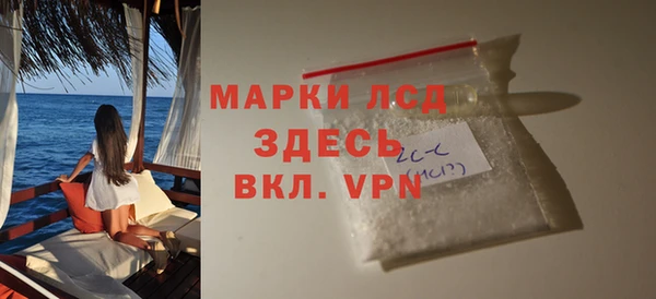ПСИЛОЦИБИНОВЫЕ ГРИБЫ Горно-Алтайск