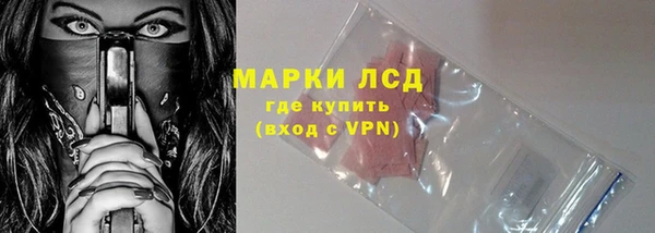 ГАЛЛЮЦИНОГЕННЫЕ ГРИБЫ Горняк