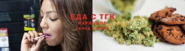 ПСИЛОЦИБИНОВЫЕ ГРИБЫ Горно-Алтайск