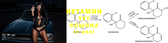ГАЛЛЮЦИНОГЕННЫЕ ГРИБЫ Горняк