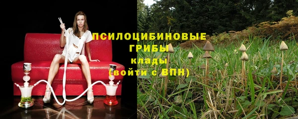 ГАЛЛЮЦИНОГЕННЫЕ ГРИБЫ Горняк
