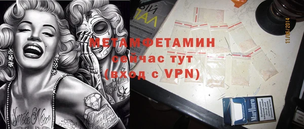 ПСИЛОЦИБИНОВЫЕ ГРИБЫ Горно-Алтайск