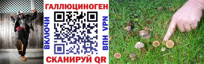 продажа наркотиков  Муром  Псилоцибиновые грибы ЛСД 