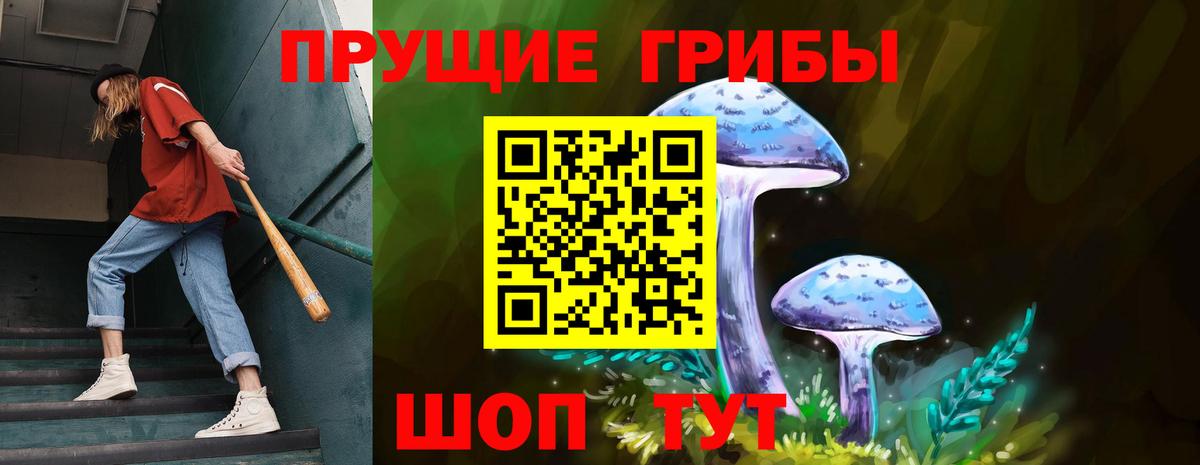 Галлюциногенные грибы Psilocybe  Вход с VPN  Муром  Галлюциногенные грибы Cubensis 